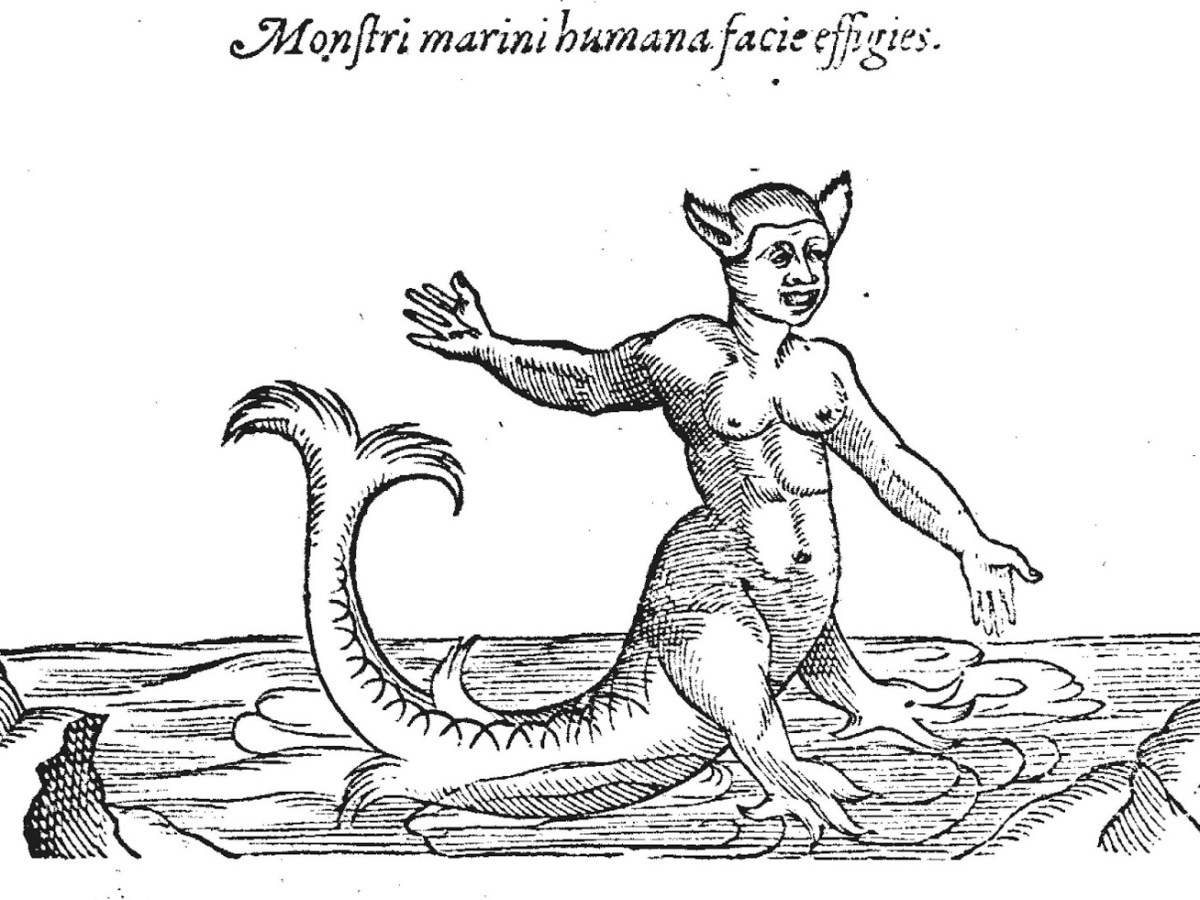 El mal entendido&nbsp;Lazarillo